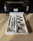 Edwards Life Sciences Aortic Sizers Tray