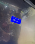 Elo TouchSystems E178661 ET2400LM-8CNA-1-GY-3-G Monitor