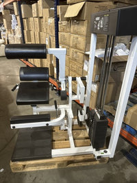 Paramount Fitness AP-3300 Lower Back Advanced Performance