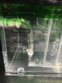 New Bio-Rad Criterion 561BR Dodeca Electrophoresis Cell 18 x 6.5 x 6"