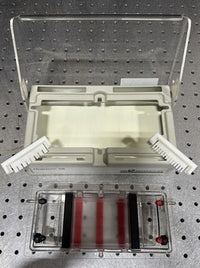 GibcoBRL Life Technologies Horizon 58 Gel Electrophoresis System w/ Tray & Combs