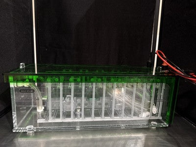 New Bio-Rad Criterion 561BR Dodeca Electrophoresis Cell 18 x 6.5 x 6"