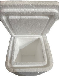 insulated Styrofoam shipping cooler foam container 10x 5 x 5 Inside measure