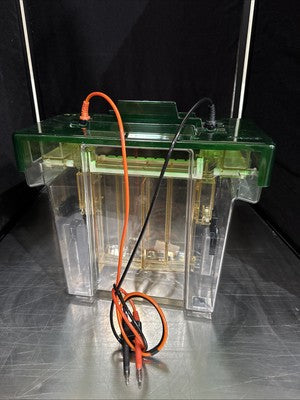 Bio Rad Protean II xi Cell Electrophoresis