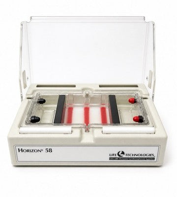 GibcoBRL Life Technologies Horizon 58 Gel Electrophoresis System w/ Tray & Combs