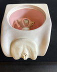 Female Contraception Simulator,Birth Control Model, Family Planning IUD Model