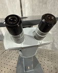 American Optical 1610 Inverted Microscope 4x, 10x, 6.5x