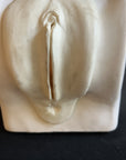 Female Contraception Simulator,Birth Control Model, Family Planning IUD Model