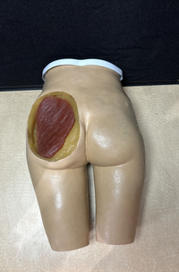 Nasco Life Form Intramuscular Injection Simulator LF00961U Nursing Trainer Box