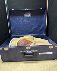 Nasco Life Form Intramuscular Injection Simulator LF00961U Nursing Trainer Box