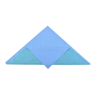 Cardinal Health Sterilization Wrap Two Color CH600 48 X 48 Inch 48 Ct