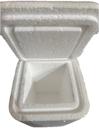 insulated Styrofoam shipping cooler foam container 10x 5 x 5 Inside measure