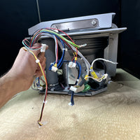Thermo Fisher Scientific Spinbird 2021