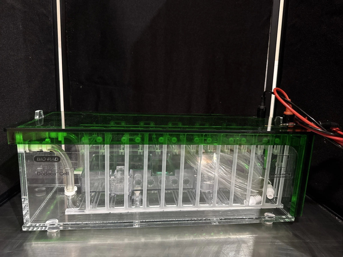 New Bio-Rad Criterion 561BR Dodeca Electrophoresis Cell 18 x 6.5 x 6"