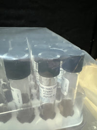 Fluid Thioglycolatte USP 10mL, 80 Tubes