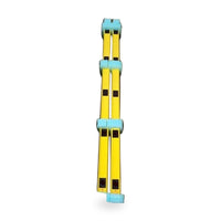Omron PA4600 Perimeter Access Guarding New. PN: PA46SR-5-300-Q2-NO1-NP-NGSPL
